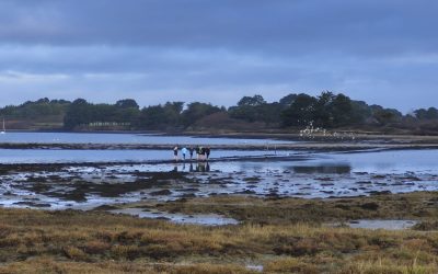 Séance trail sur les sentiers côtiers
